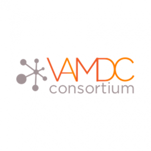 VAMDC Consortium